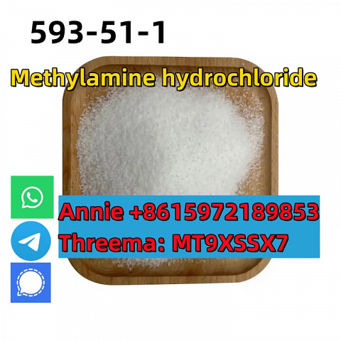 CAS 593-51-1 Methylamine hydrochloride LT-S9151 good price with high qualtiy