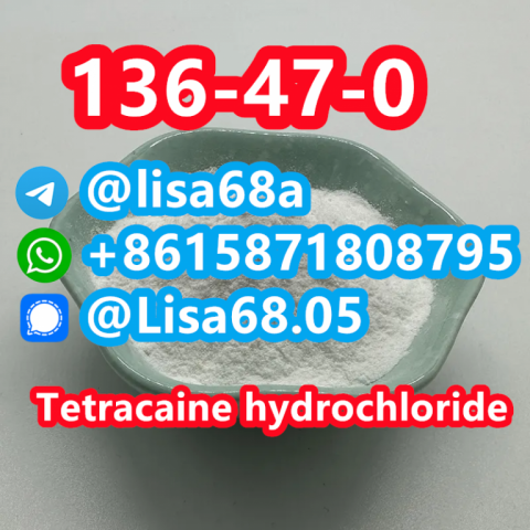 CAS 136-47-0 Tetracaine hydrochloride C15H25ClN2O2