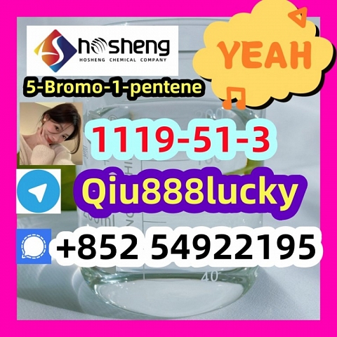 1119-51-3 5-Bromo-1-pentene 