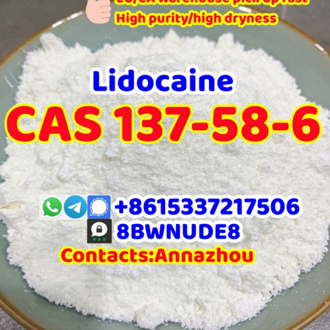 CAS 137-58-6 Lidocaine powder 