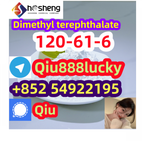 120-61-6 Dimethyl terephthalate