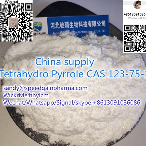 China supply Tetrahydro Pyrrole CAS 123-75-1,whatsapp:+8613091036086,sandy@speedgainpharma.com