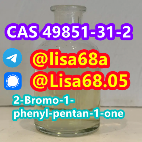 CAS 49851-31-2 2-Bromo-1-phenyl-pentan-1-one C11H13BrO