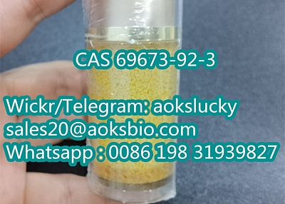 Hot Selling 1-Propanone, 2-Chloro-1- (4-methylphenyl) - (9CI) Powder CAS 69673-92-3 with Best Price 