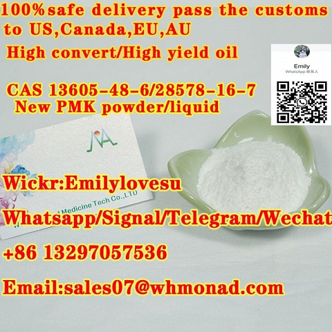 PMK powder cas 13605-48-6 CAS 28578-16-7,China seliable Factory supply