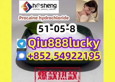 51-05-8  Procaine hydrochloride  