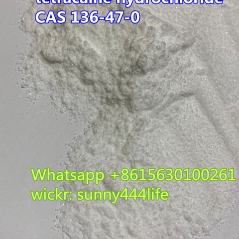  tetracaine hydrochloride CAS 136-47-0