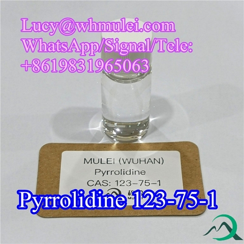 Pyrrolidine CAS 123-75-1 High Purity Flavors and Spices Pyrrolidine China Manufacture