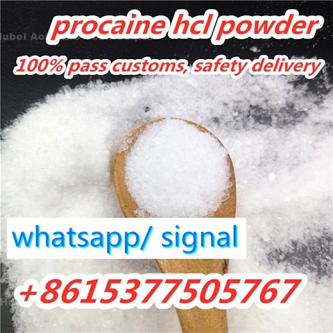 China Procaine Manufacturer, Procaine HCl Supplier with Good Procaine Hydrochloride Price, Procaine 