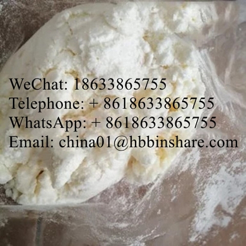 WhatsApp: + 8618633865755、