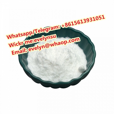 Cas 593-81-7 Trimethylamine hydrochloride Whatspp:+8615613931051