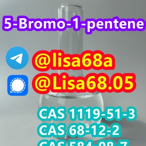 CAS 1119-51-3 5-Bromo-1-pentene C5H9Br