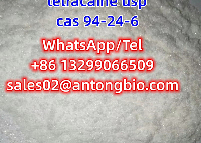 tetracaine usp CAS 94-24-6 C15H24N2O2