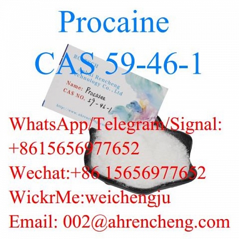 Procaine CAS 59-46-1 with Top Quality