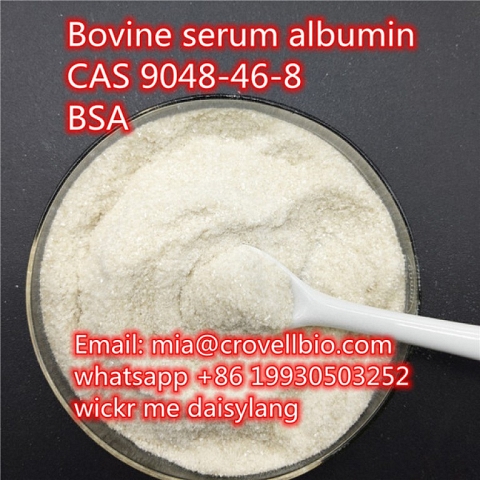 Bovine serum albumin CAS 9048-46-8 BSA Supplier in China ( whatsapp +86 19930503252 