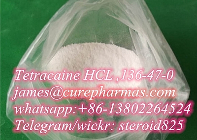 Tetracaine CAS 94-24-6 Local anesthetic raw powder Tetracaine hcl CAS.136-47-0 for Anti-Paining