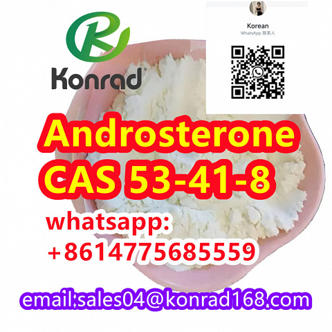  Androsterone:CAS 53-41-8