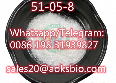 Factory Supply High Quality Procaine Hydrochloride / Procaine HCl CAS 51-05-8