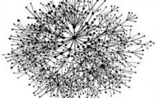 INTERNATIONAL TRADE (Sylodium)