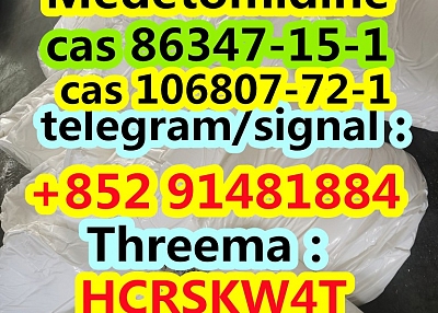high purity Medetomidine Hydrochloride cas 86347-15-1 cas 106807-72-1 cas cas 86347-14-0 