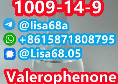 CAS 1009-14-9 Valerophenone C11H14O