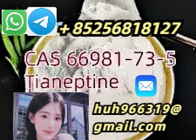 Venta de Tianeptina CAS66981-73-5 a proveedores de China