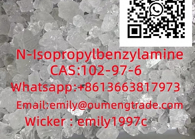 etizolam 40054-69-1 eutylone 802855-66-9 protonitazene 119276-01-6  2-bromazolam