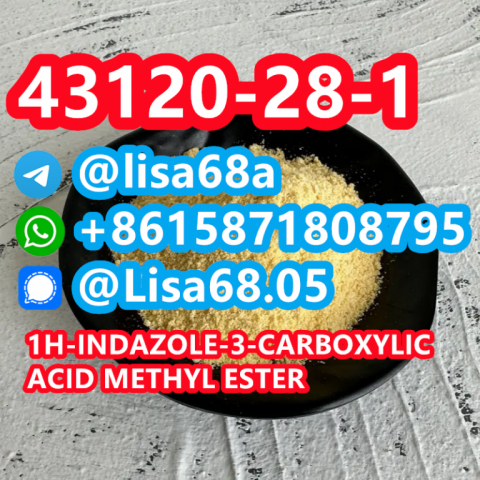 CAS 43120-28-1 1H-indazole-3-carboxylic acid methyl ester C9H8N2O2