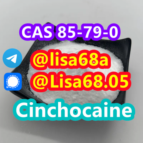 CAS 85-79-0 Cinchocaine C20H29N3O2