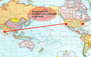 USA - India (Sylodium, how to import and export)