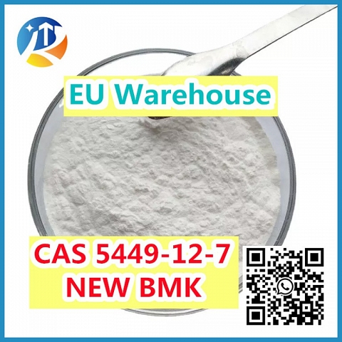 BMK Glycidic Acid (sodium salt) CAS 5449-12-7 Powder with Safe Delivery