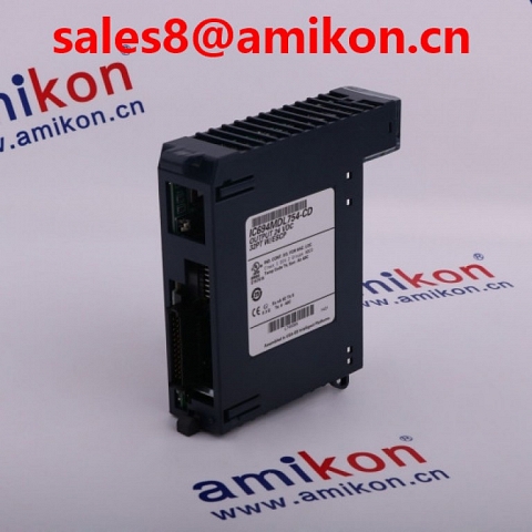 GE IC200ALG230C