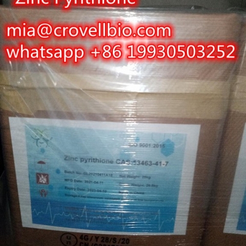  ZINC PYRITHIONE ZPT POWDER CAS 13463-41-7 MANUFACTURER SUPPLIER IN CHINA (mia@crovellbio.com