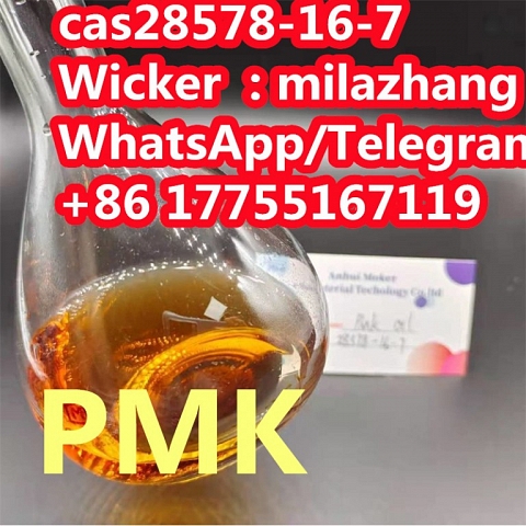 The Lower Price, Pmk Glycidate Oil CAS 28578-16-7 New BMK Glycidate with High Quality