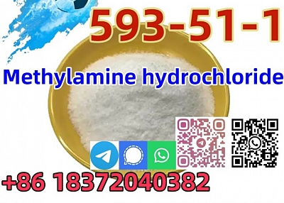 Buy Good quality CAS 593-51-1 Methylamine hydrochloride with best price