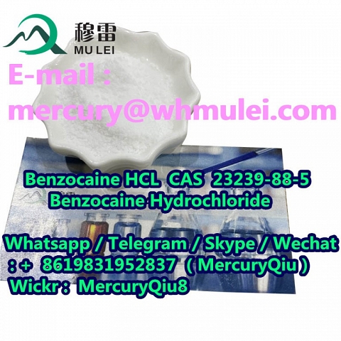 Local Anesthetic Benzocaine HCL White Crystalline Powder cas 23239-88-5