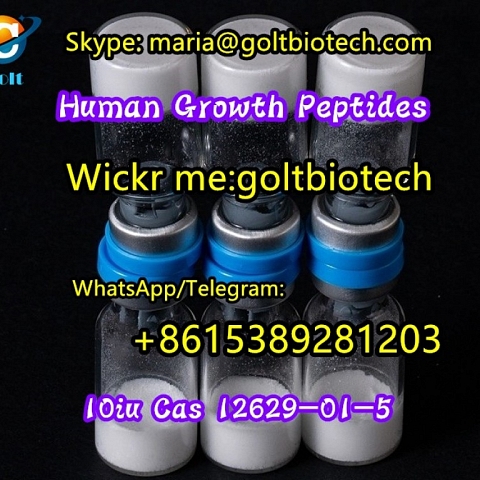 HGH Human Growth Hormone China supplier 100% safe delivery Wickr:goltbiotech