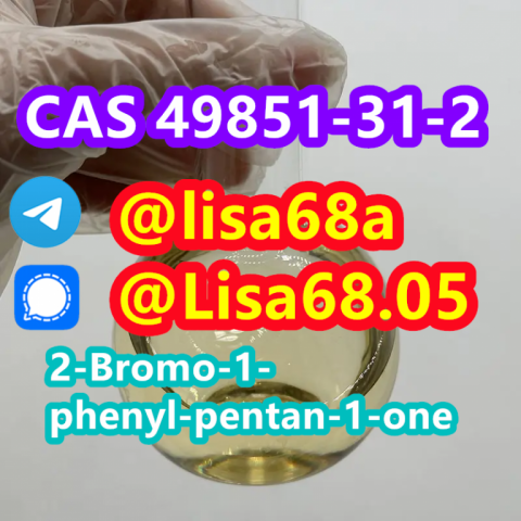 CAS 49851-31-2 2-Bromo-1-phenyl-pentan-1-one C11H13BrO