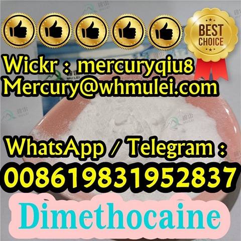 Larocaine Dimethocaine , Larocaine 99% Dmc Powder  for Pain Killer Larocaine hydrochloride 