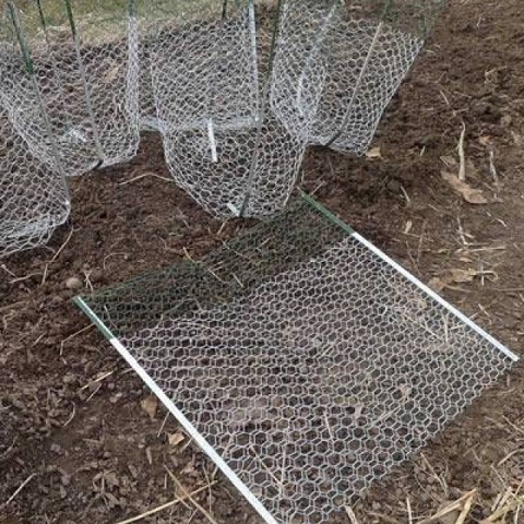 Gopher Control Wire Mesh Protects Lawn and Individual Plant