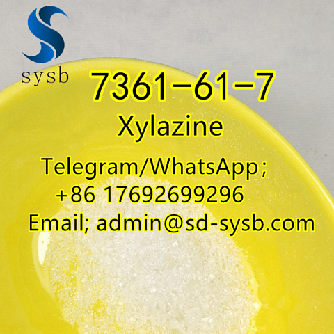  99 CAS:7361-61-7 Xylazine