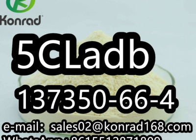  5CLadbCAS：137350-66-4 