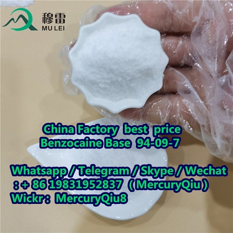 China wholesale price Benzocaine for Painkiller Powder  CAS No. 94-09-7 99% Purity Raw Material Powd