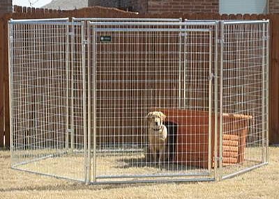 Welded Animal Pen and Cage