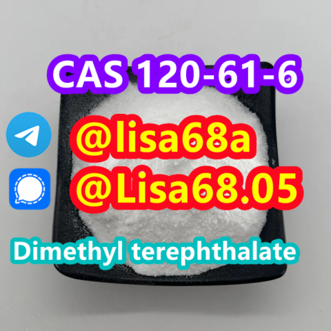 CAS 120-61-6 Dimethyl terephthalate C10H10O4