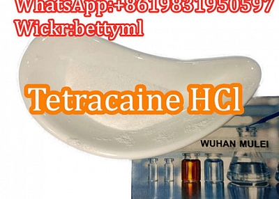 Cas:136-47-0 factory Tetracaine hydrochloride,tetracaine hcl powder favorable price safe delivery