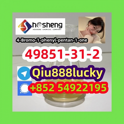 49851-31-2 4-Bromo-1-phenyl-pentan-1-one