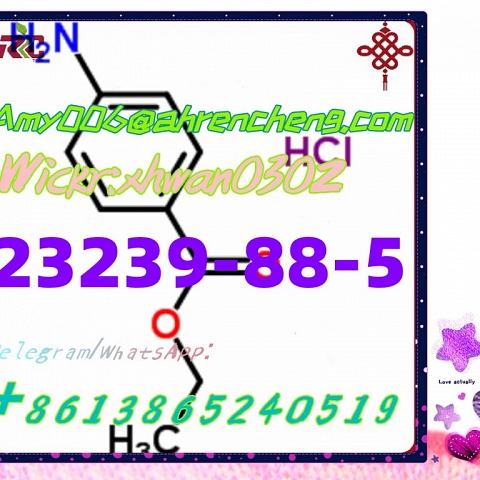 CAS 23239-88-5 Benzocaine hydrochloride