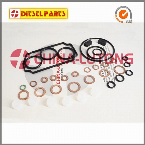 common rail injector repair kits Z 146600-1120 B 9 461 610 423 Fl 800600 for Ve Pump Parts Replace 