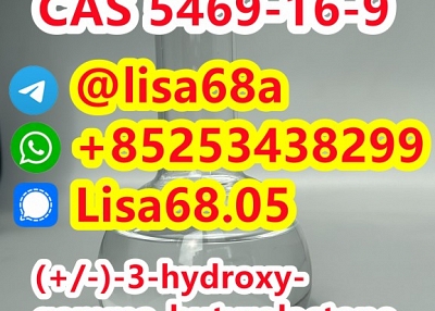 CAS 5469-16-9 (+/-)-3-hydroxy-gamma-butyrolactone C4H6O3